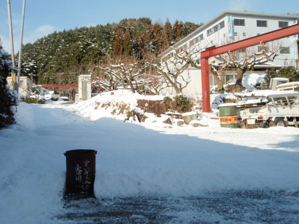 9年ぶりの大雪